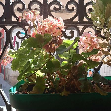 Apartamento Lavapies Al Lado Del Rastro Madrid Kültér fotó
