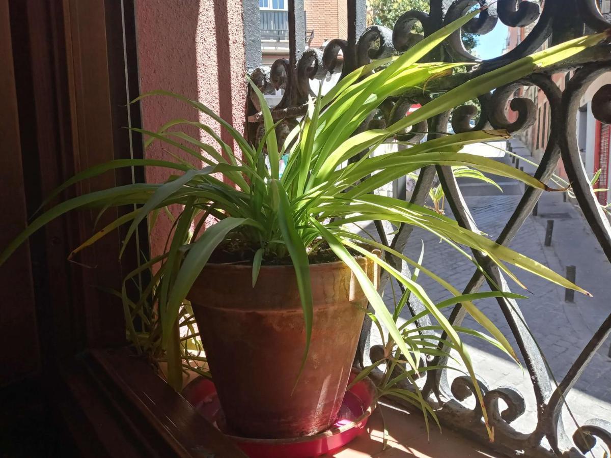 Apartamento Lavapies Al Lado Del Rastro Madrid Kültér fotó